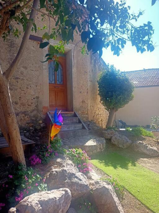 Le Clos Du Pin Thezan-les-Beziers Exterior photo